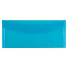 JAM Paper Blue Plastic Tuck Flap Closure 4.25" x 9.75" Envelopes, 12ct.