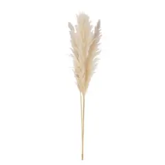 Hello Honey&reg; 5.5ft. Natural Dried Pampas Grass Bunch