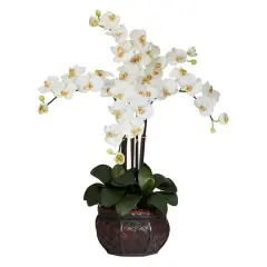3ft. White Moth Orchid Arrangement in Decorative Vase