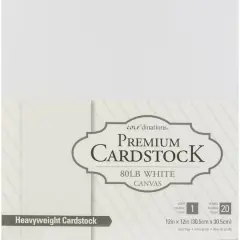 Core'dinations&reg; White Canvas12" x 12" Premium Cardstock, 20 Sheets