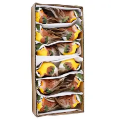 JAM Paper Multicolored 5" Bird Floral Accessories, 12ct.