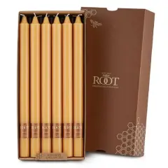 Root Candles Arista&trade; 12" Smooth Taper Candles, 12ct. Mandarin