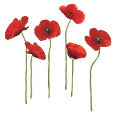 RoomMates Red Poppies At Play Peel & Stick Giant Wall Decals
