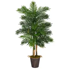 6ft. Areca Palm Tree in Metal Pail with Rope