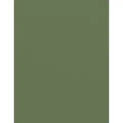 PA Paper&trade; Accents 8.5" x 11" 74lb. Muslin Cardstock Paper, 1,000 Sheets Rain Forest