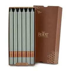 Root Candles Arista&trade; 12" Smooth Taper Candles, 12ct. Sage Green