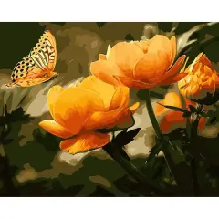 Winnie's Picks Peach Butterfly in the Summer Adult Paint by Numbers Kit