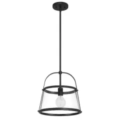Hello Honey&reg; Fallon Black Vintage Metal & Clear Glass Ceiling Light