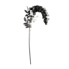 Black Wisteria Stem by Ashland&reg;