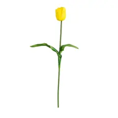 25" Yellow Tulip Flower Stems, 3ct.