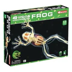 4D Vision&trade; Full Skeleton Frog Model