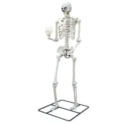 10ft. Oversized Posable Skeleton by Ashland&reg;