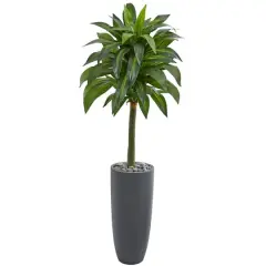 5ft. Dracaena Artificial Plant in Gray Planter