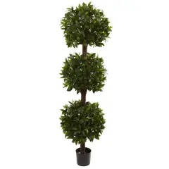 6.5ft. Potted Sweet Bay Triple Ball Topiary Plant