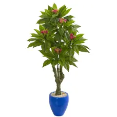 5ft. Plumeria Tree in Decorative Blue Planter