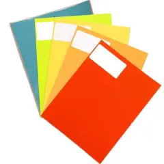 JAM Paper Assorted Bright Colors Shipping Address Labels, 5 Packs of 120