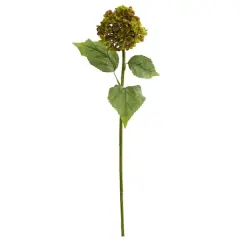 Hydrangea Stem, 4ct. Green