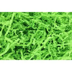 Essentials by Leisure Arts Crinkle Shred Box, 10lb. Lime