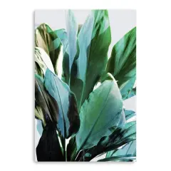 Lumaprints Green Leaves III Gicl&eacute;e Canvas