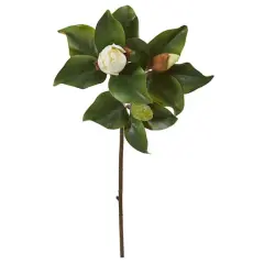 White Magnolia Stem, 4ct. 