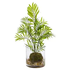 14" Mini Areca Palm Plant in Vase
