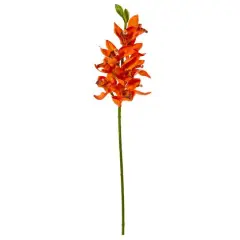 Boat Orchid Stem, 6ct. Orange