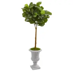 4ft. Fiddle Leaf Tree in Decorative Urn