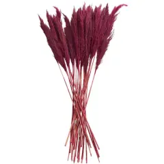 Dried Plant Bamboo Natural Foliage with Long Stems Pink