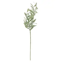 Green Olive Branch Stem by Ashland&reg;