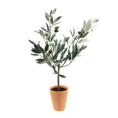 22" Potted Olive Tree Topiary