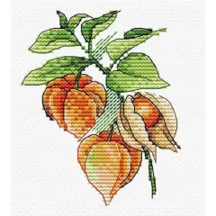 MP Studia Physalis Cross Stitch Kit