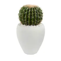 20" Cactus in White Planter