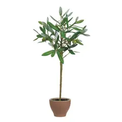 Hello Honey&reg; 20.75" Evergreen Faux Olive Topiary Tree in Dolomite Pot