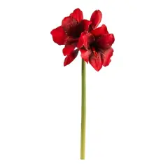 Red Amaryllis Artificial Flower Stem, 3ct.