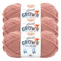 3 Pack Lion Brand&reg; Local Grown Yarn Cherry Blossom