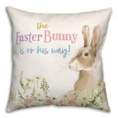 Easter Bunny On His Way 18" x 18" Throw Pillow