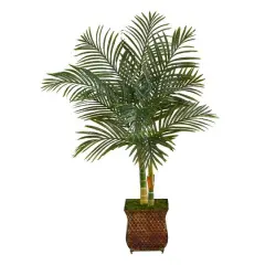 4ft. Golden Cane Palm Tree in Decorative Metal Planter