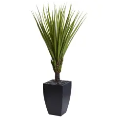 5.4ft. Spiky Agave Artificial Tree in Black Planter