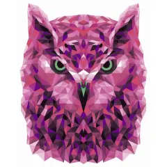 Crafting Spark Celebration Poly Owl Painting by Numbers Kit