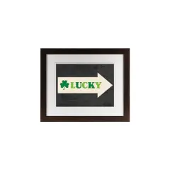 Lucky Arrow 11" x 14" Black Framed Print Under Plexiglass