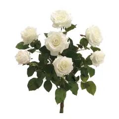 Cream Confetti Rose Bush