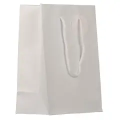 JAM Paper Medium Gift Bags with Rope Handles, 3ct. White Matte