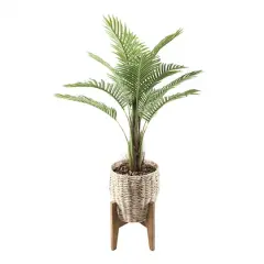 Flora Bunda&reg; 4ft. Palm in Basket Planter on Stand
