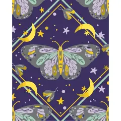 Moth Paint-by-Number Kit by Artist's Loft&reg;