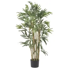 3ft. Potted Bambusa Bamboo Tree