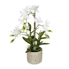 19" Artificial Deluxe Potted Cycnoches Orchid