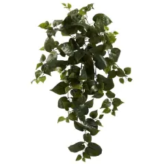 Hanging Philo Plant, 3ct.