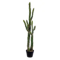 4ft. Potted Green Cactus