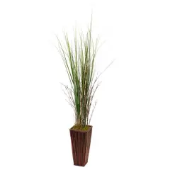 4.5ft. Bamboo Grass in Bamboo Planter