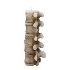 8" Spine Shaped Candle by Ashland&reg;